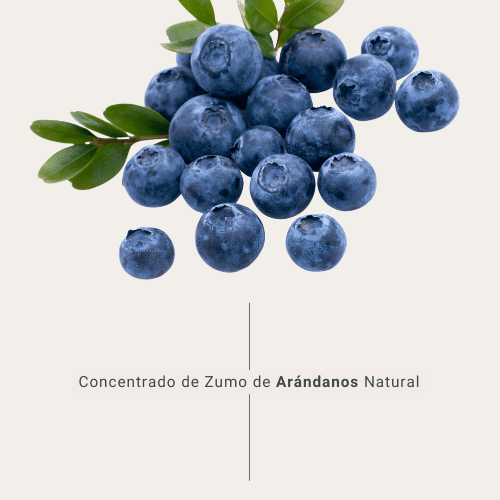 blueberry juice concentrate BAOR brand