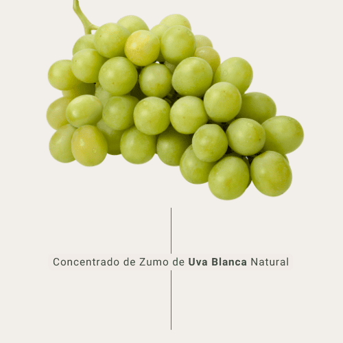 white grape juice concentrate BAOR brand