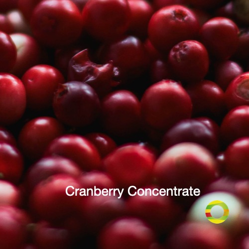 This photo is from a cranberry fruit that is used to produce cranberry juice, cranberrry concentrate or cranberry puree