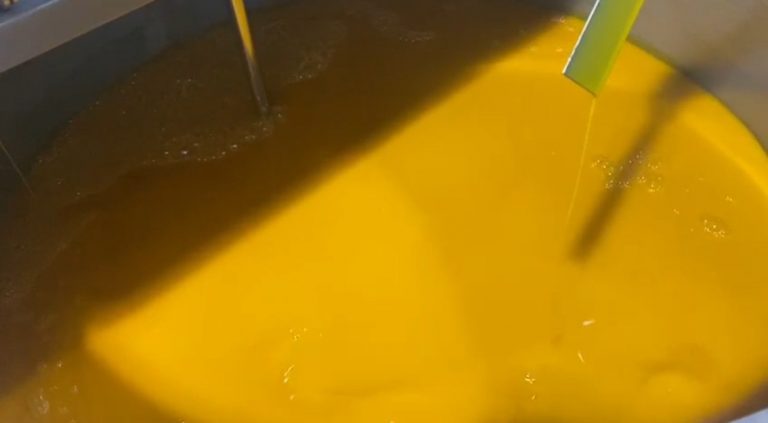 In the photo you can see a mango concentrate made with fruit in a perfect state of ripeness, the bright orange color is characteristic of a high quality product