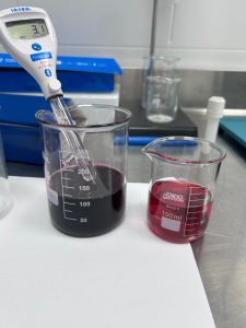 Blackberry concentrate with pH measurement showing color variation and anthocyanin stability in laboratory analysis