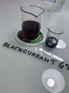 Blackcurrant concentrate rich in anthocyanins with natural dark red color in laboratory glass beakers