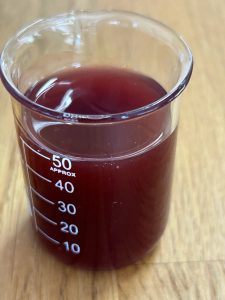 organic aronia vinegar with mother dark red color in laboratory glass beaker