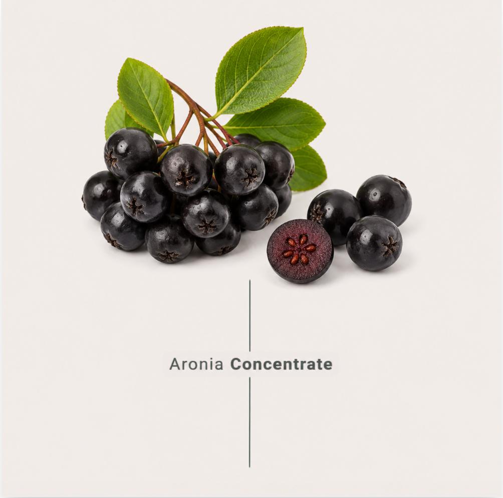 aronia concentrate made from fresh aronia for industrial food and beverage manufacturers