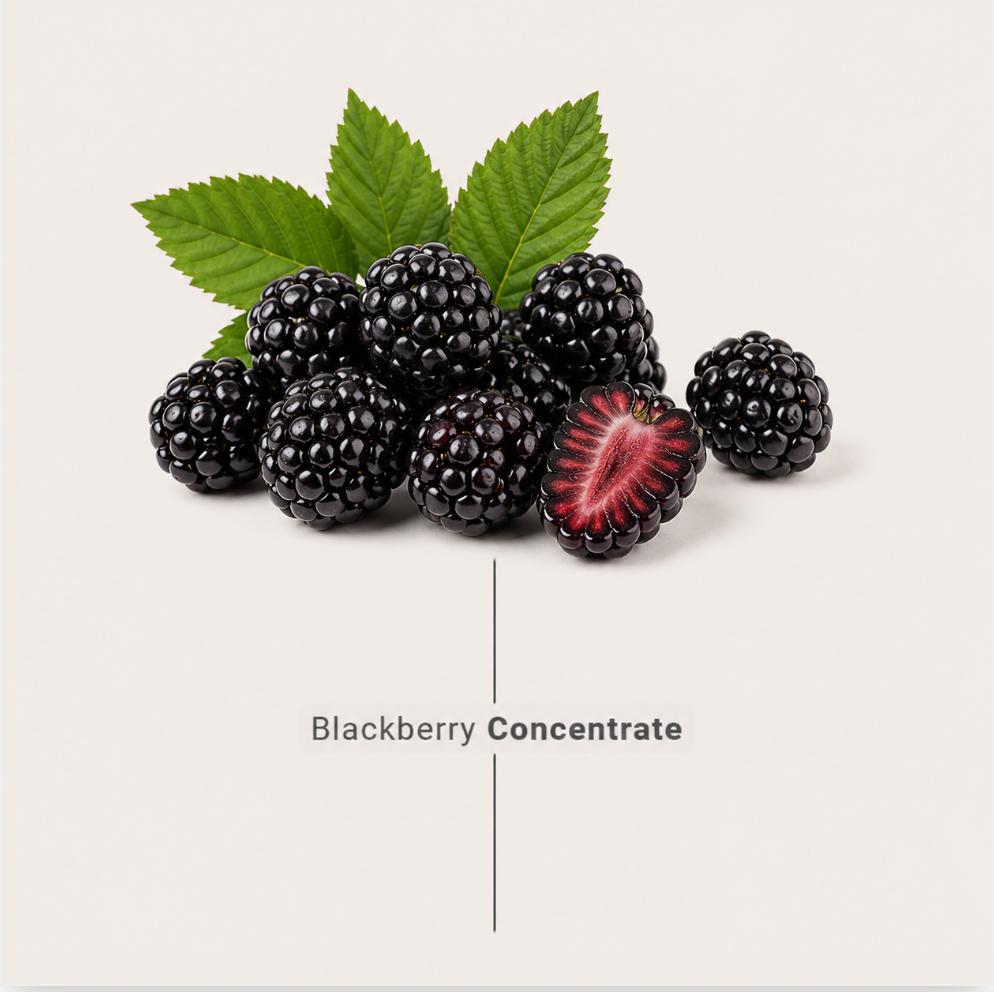 Blackberry concentrate made from fresh blackberry for industrial food and beverage manufacturers