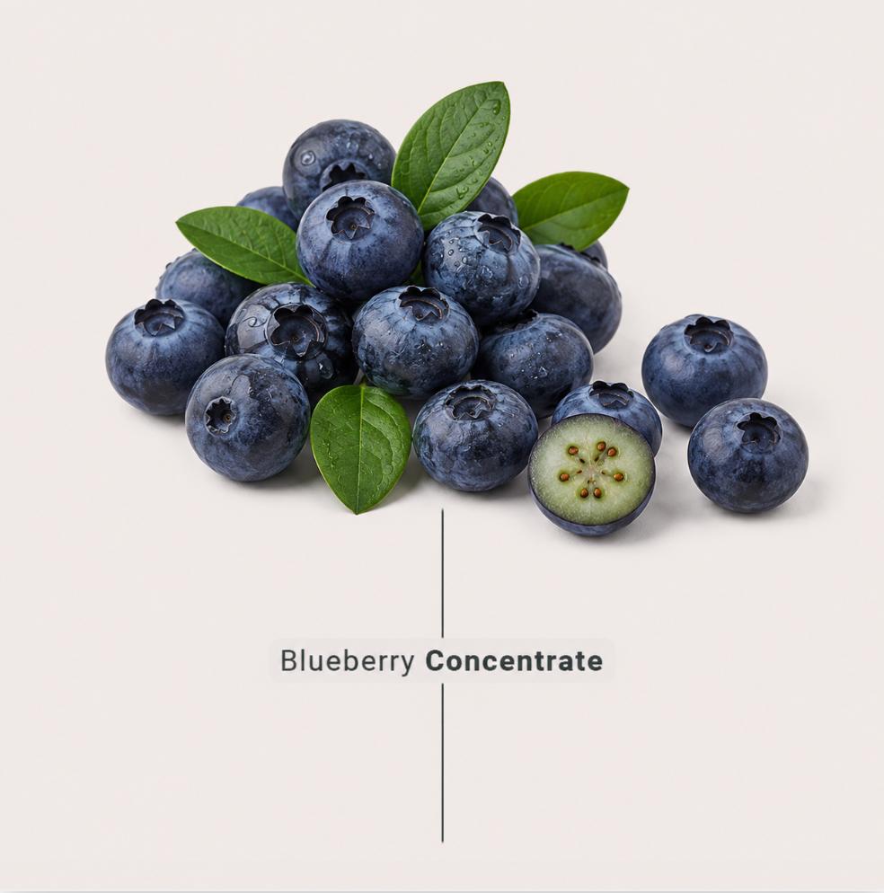 Blueberry concentrate made from fresh blueberries for industrial food and beverage manufacturers