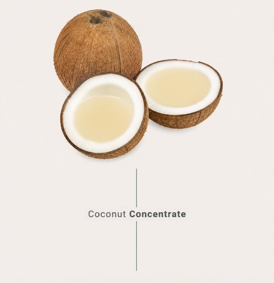 coconut concentrate made from fresh coconuts for industrial food and beverage manufacturers
