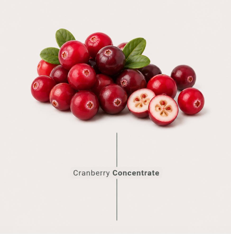 Carnberry concentrate made from fresh cranberries for industrial food and beverage manufacturers