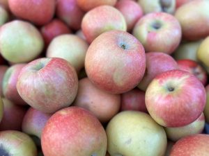 This photo is from apples in a factory ready to produce apple juice concentrate